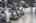 Blurred preview of media: IMG_9337