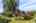 Blurred preview of media: 1-15