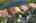 Blurred preview of media: iPixx_10_29_Copy