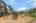 Blurred preview of media: 1-37