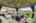 Blurred preview of media: 2464 Remington Rd 00033