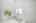 Blurred preview of media: 4376 (82 - 83)