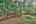 Blurred preview of media: IMG_2152_3_4_easyHDR
