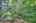 Blurred preview of media: IMG_4739_40_41_easyHDR