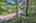 Blurred preview of media: IMG_4709_10_11_easyHDR