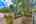 Blurred preview of media: 100