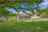 Blurred preview of media: 11169 Benson St -8-2