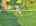 Blurred preview of media: DJI_20260723143848_0820_D_1_D_2_D_easyHDR