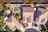 Blurred preview of media: 2393 Birdsong Pl-101