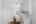 Blurred preview of media: 032
