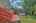 Blurred preview of media: 20251002204144018895000000-o