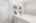 Blurred preview of media: 31 Howell Mill Plantation_Low Res-25
