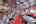 Blurred preview of media: IMG_4804_5_6