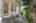 Blurred preview of media: 1-31