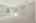 Blurred preview of media: Nerine_091