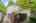 Blurred preview of media: 1-1