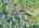 Blurred preview of media: DJI_20250802150107_0739_D_40_D_41_D_easyHDR
