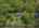 Blurred preview of media: Image Feb 18, 2026 at 09_22_12 AM