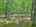 Blurred preview of media: DJI_20260608135650_0500_D_0_0501_D_1_0502_D_easyHDR