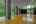 Blurred preview of media: DSC_8584