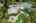 Blurred preview of media: Interior Pro Images 3098 Espana Ln FULL SHOOT-98