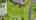 Blurred preview of media: Drone 7
