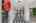 Blurred preview of media: 12430 Gentle Ben-8