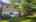 Blurred preview of media: IMG_5930