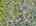 Blurred preview of media: DJI_20260505134617_0874_D_5_D_6_D_easyHDR