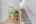 Blurred preview of media: 69 YVONNE CRES web-6