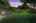 Blurred preview of media: 260190T-1a
