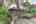 Blurred preview of media: 139