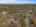 Blurred preview of media: 31 Howell Mill Plantation_Low Res-2