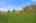 Blurred preview of media: DSC05183