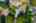 Blurred preview of media: DJI_0753