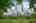Blurred preview of media: The Metropolitan 44