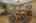 Blurred preview of media: 13