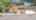 Blurred preview of media: IMG_1101