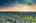 Blurred preview of media: 106 Cranarch Landing SE-49