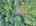 Blurred preview of media: DJI_20260829151351_0345_D_6_D_7_D_easyHDR