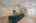 Blurred preview of media: Image-31