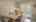 Blurred preview of media: IMG_9742