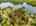 Blurred preview of media: 2