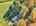 Blurred preview of media: DJI_20251021122339_0872_D_3_D_4_D_easyHDR