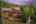 Blurred preview of media: 229 Highlands Drive , Breckenridge, Colorado, 80424 - Web-63