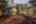 Blurred preview of media: PAX_9983.jpg_dte