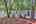 Blurred preview of media: IMG_3273_4_5_easyHDR
