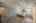 Blurred preview of media: Image-8