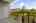 Blurred preview of media: 1-29