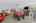 Blurred preview of media: 038